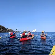 Balade Vigneronne En Kayak