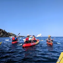 Balade Vigneronne En Kayak