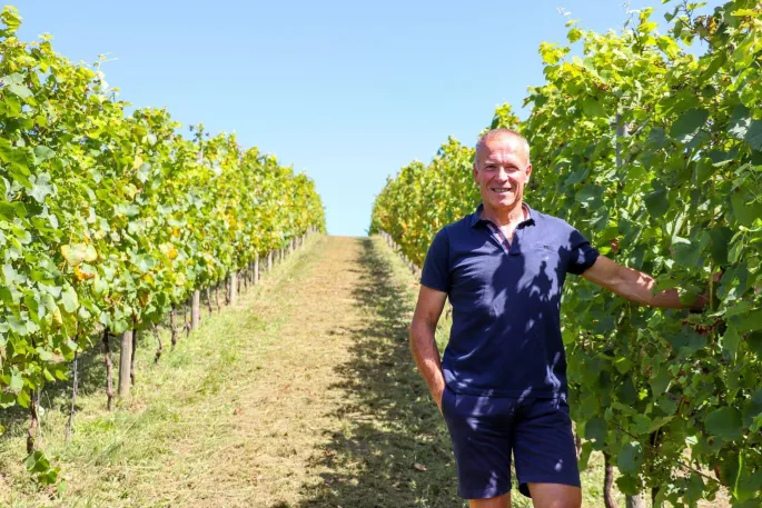 Balade vigneronne : Le Dôme