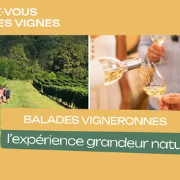 Balade vigneronne : Le Dôme