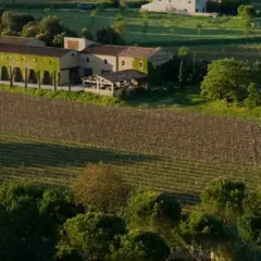 Balade viticole en trottinette au domaine de Marie (84)