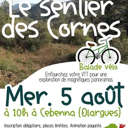 Balade Vtt : Le Sentier Des Cornes