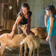 Balades à cheval, tir à l'arc, voltige... vacances de printemps
