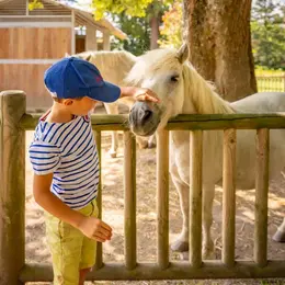 Balades à poney > Haras National