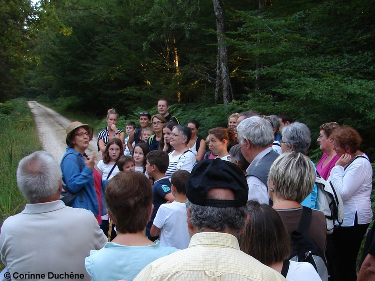 Balades contées en Val de Creuse avec la conteuse Corinne Duchêne