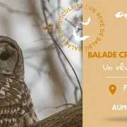 Balades Crepusculaires Javols