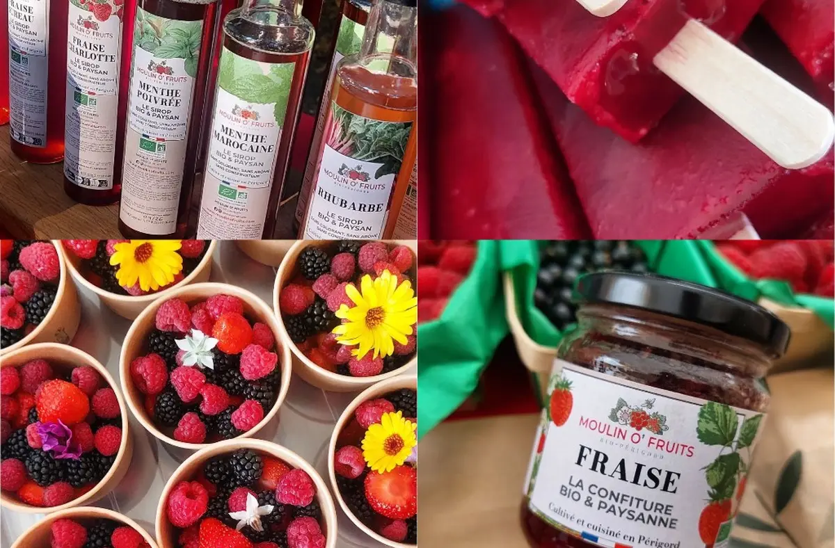 Balades cultures et nature | Histoire tourmentée et délices du terroir de Lanquais