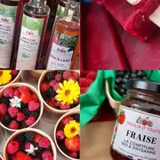 Balades cultures et nature | Histoire tourmentée et délices du terroir de Lanquais