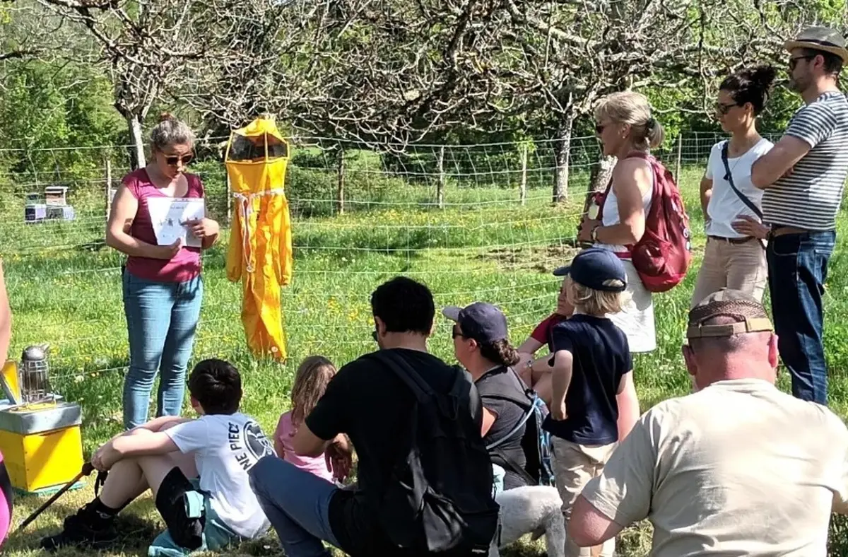 Balades cultures et nature | Pierres sauvages et trésors gourmands