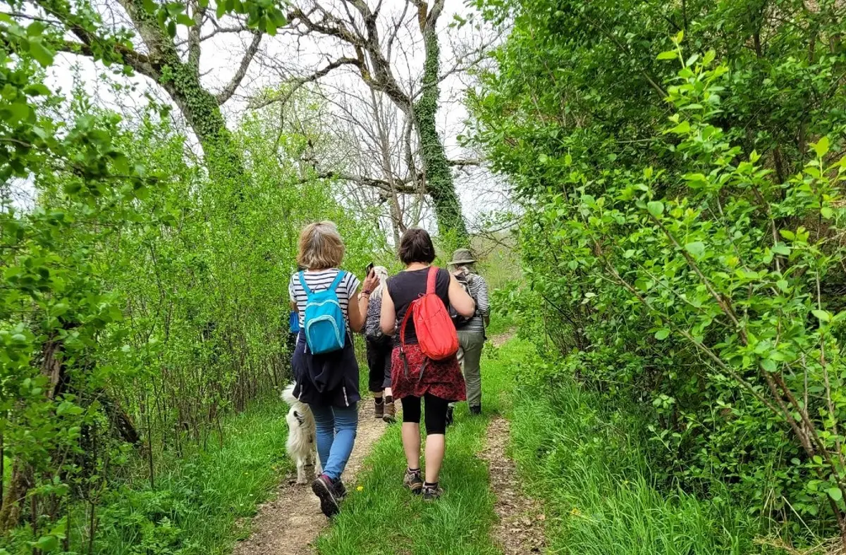 Balades cultures et nature | Templiers, élixirs et petites douceurs