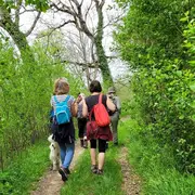 Balades cultures et nature | Templiers, élixirs et petites douceurs
