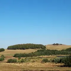 Balades d'Olt à l'Aubrac