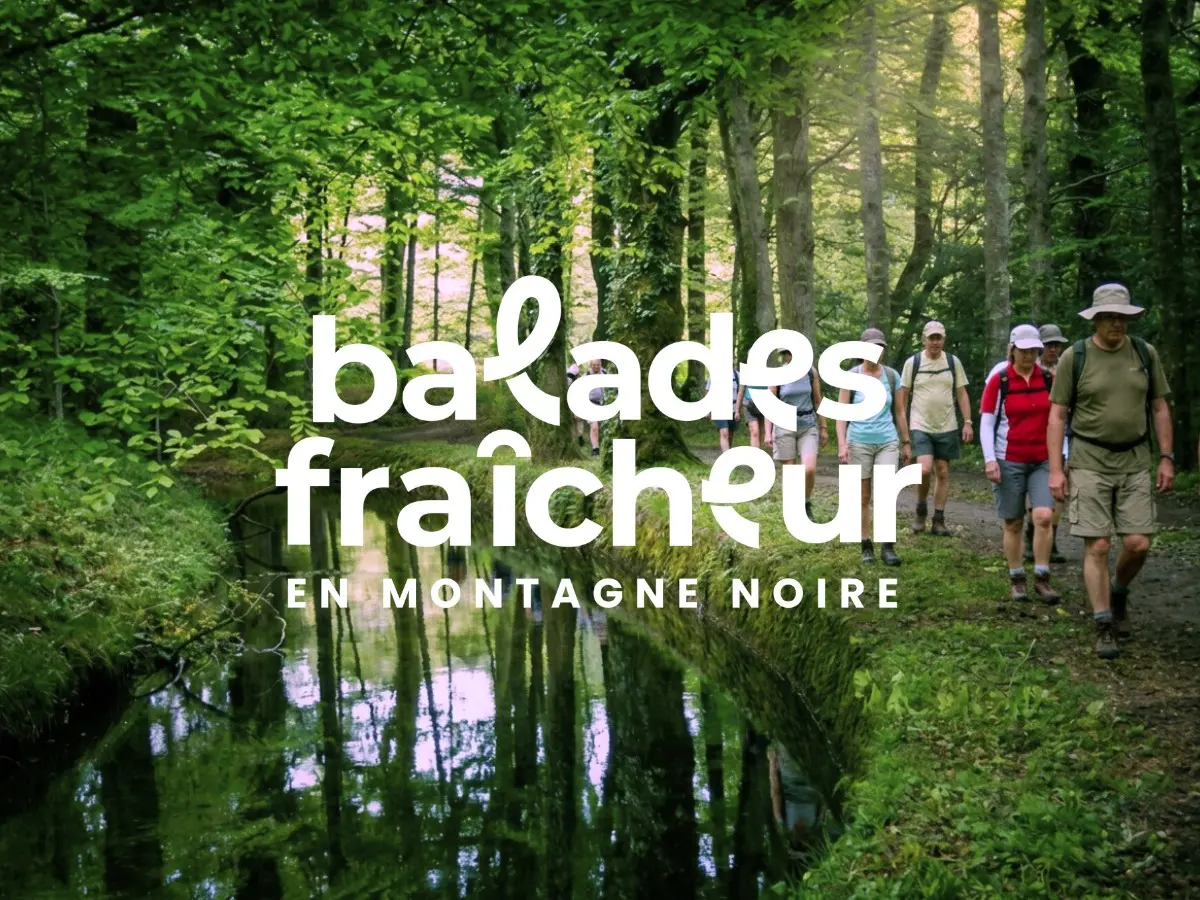 Balades Fraîcheur - Lac De Picarel