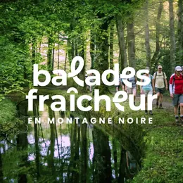 Balades Fraîcheur - Lac De Picarel