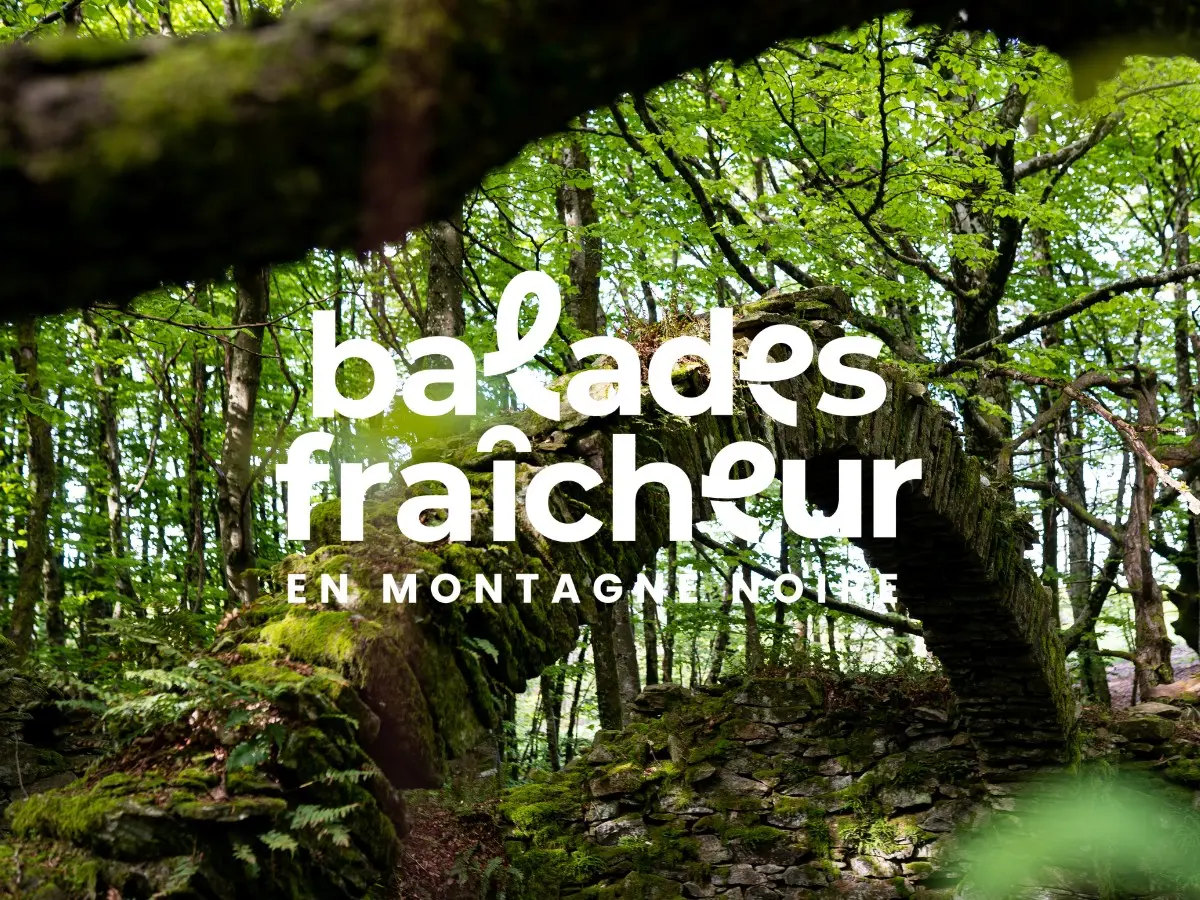 Balades Fraicheur - Sentier Des Glacières