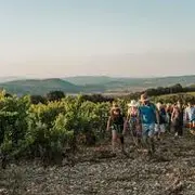 Balades Gourmandes Au Coucher Du Soleil