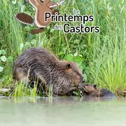 Balades improvisées