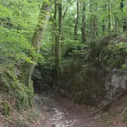 Balades nature en Petite Suisse Lorraine