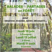 Balades - Partages en forêts