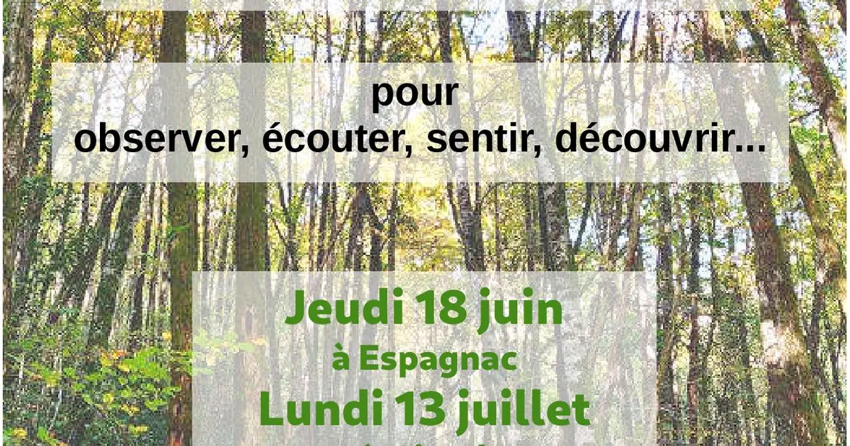 Balades - Partages en forêts