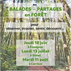 Balades - Partages en forêts