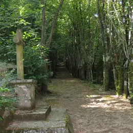Balades secrètes en Corrèze - découverte de la Tourbière de la Bissière