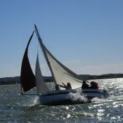 Balades Sur La Lagune En Voilier De Tradition