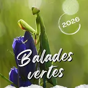 Balades Vertes en Haute-Marne : Le point triple - démarcation entre trois bassins maritimes