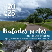 Balades Vertes - La Ville Est-Elle Un Ecosysteme Naturel ?