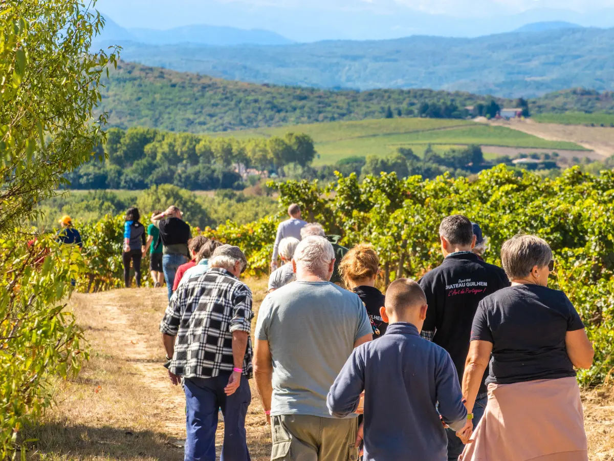 Balades Vigneronnes En Grand Carcassonne - Château Guilhem