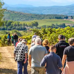 Balades Vigneronnes En Grand Carcassonne - Château Guilhem