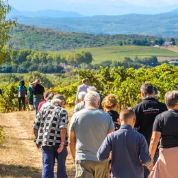 Balades Vigneronnes En Grand Carcassonne - Château Guilhem