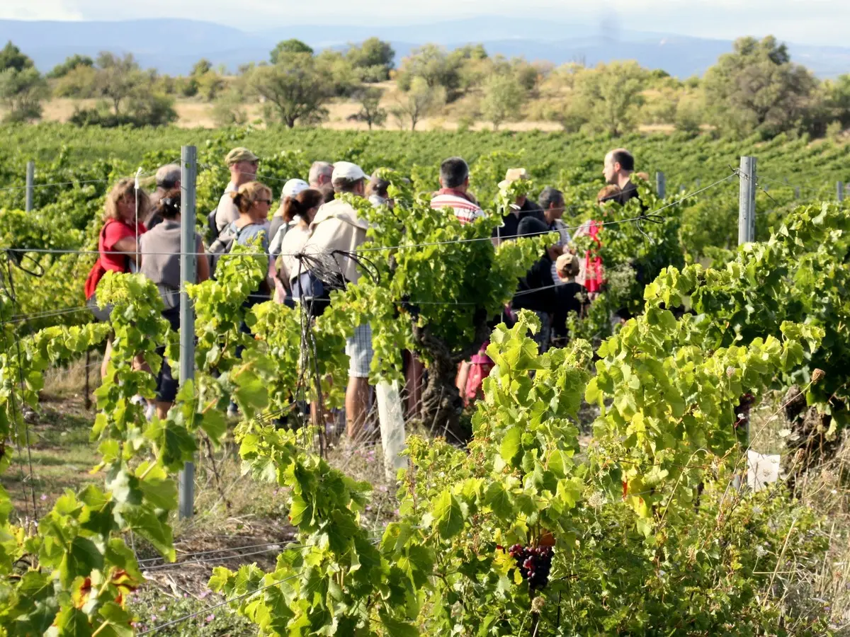 Balades Vigneronnes En Grand Carcassonne - Château L’amiral