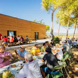 Balades Vigneronnes En Grand Carcassonne - Domaine Des Homs
