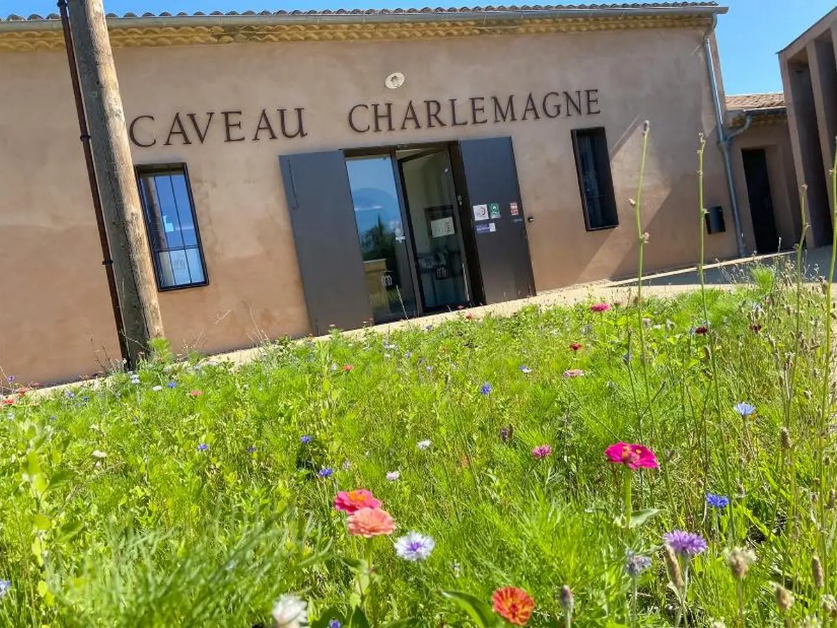 Balades Vigneronnes En Grand Carcassonne - Domaine Du Lycée Charlemagne