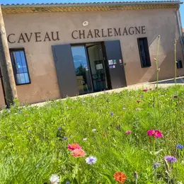 Balades Vigneronnes En Grand Carcassonne - Domaine Du Lycée Charlemagne
