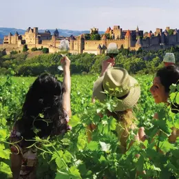 Balades Vigneronnes En Grand Carcassonne - Domaine Sainte-Marie Des Crozes