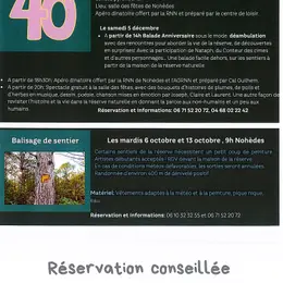 Balisage De Sentier