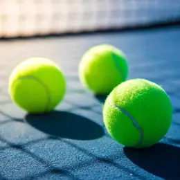 Open 13 Marseille 2026 (tournoi de tennis)