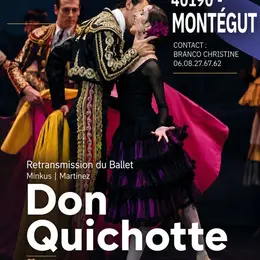 Ballet : Don Quichotte