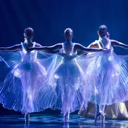 Ballet of Lights - Carte-Cadeau