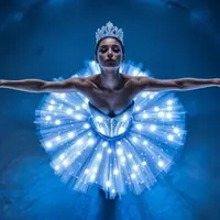 Ballet of Lights : Cendrillon dans un spectacle étincelant DR