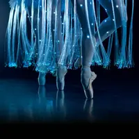 Ballet of Lights : La Belle au bois dormant dans un spectacle étincelant DR