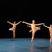 Ballet Preljocaj : Le Lac Des Cygnes
