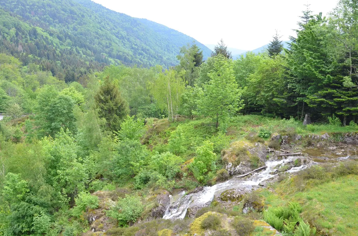 Vallée et torrent sous le barrage d'Alfeld - Ballon d'Alsace