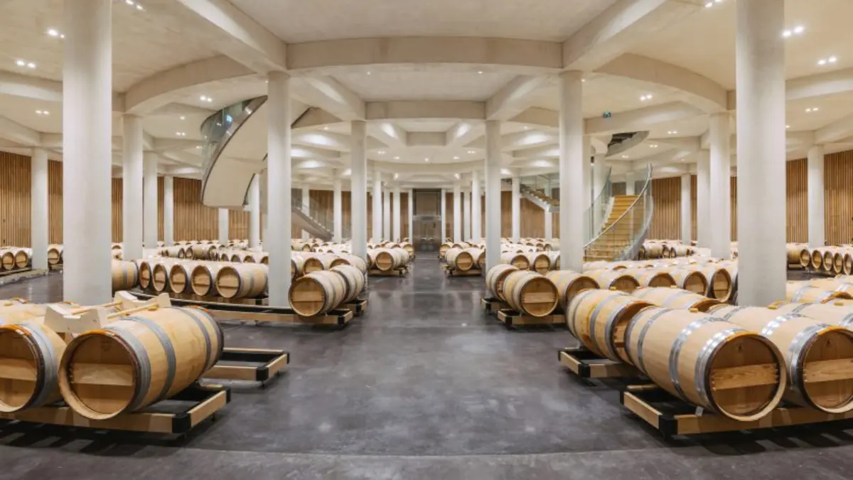 Banquet primeurs permettant de découvrir le millésime 2025 en cours d’élevage