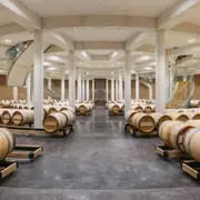 Banquet primeurs permettant de découvrir le millésime 2025 en cours d’élevage