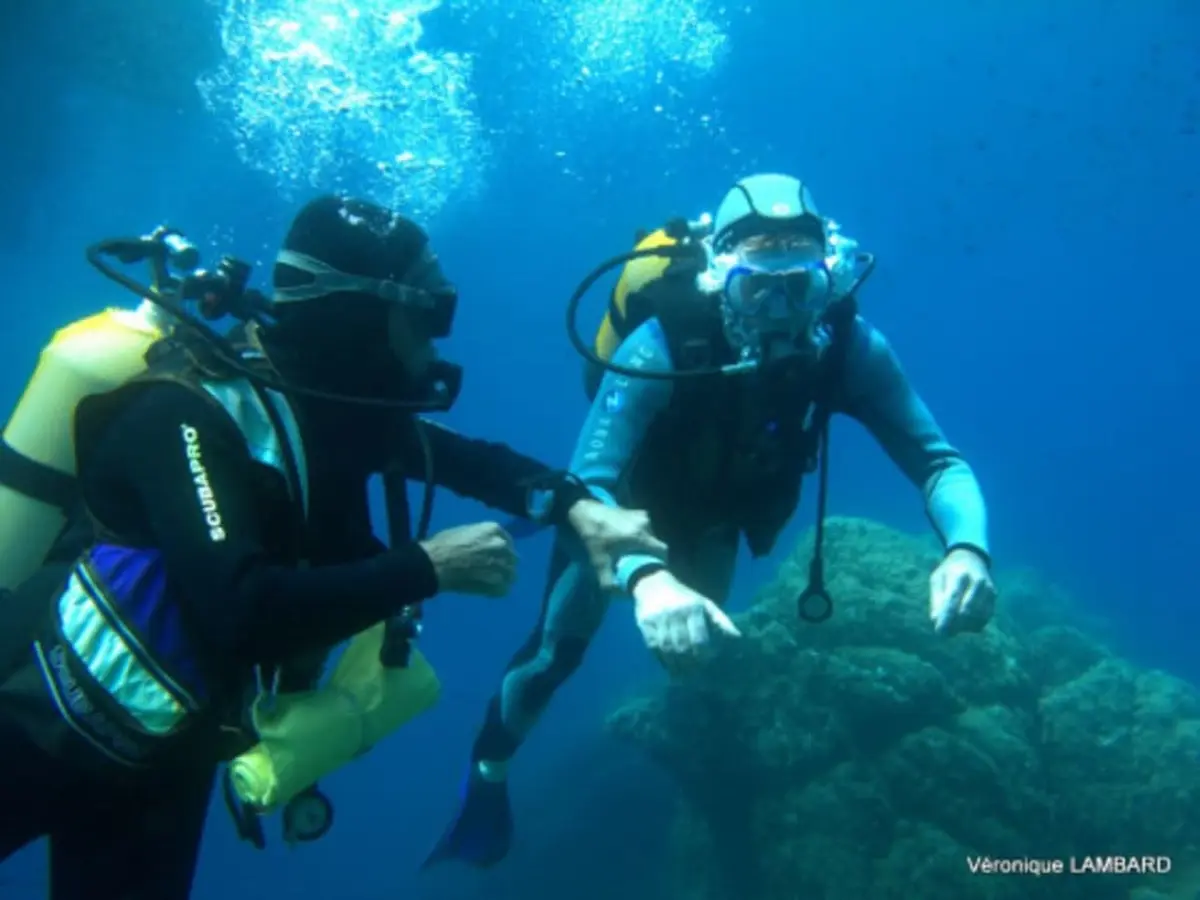 Baptême de plongée à Bormes-les-Mimosas (83)