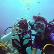 Baptême de  plongée aux Anses-d'Arlet (972)