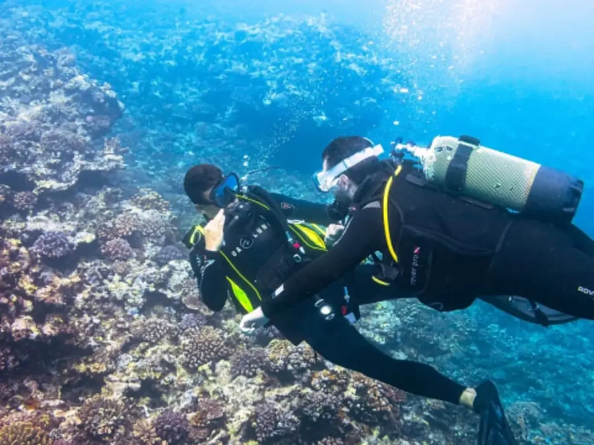 Baptême de plongée depuis Saint-Leu (974)